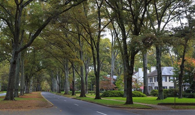 full-service hoa management